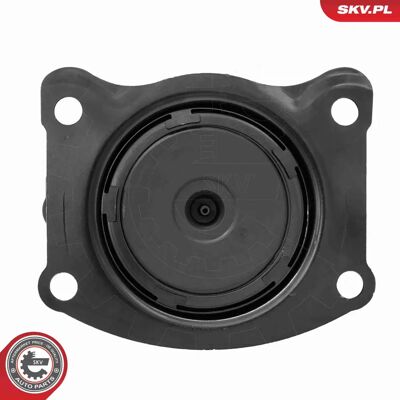 ESEN SKV 75SKV319 - Motore ESEN SKV 75SKV319 - Motore