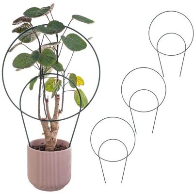 Kadax Plant Support Set - Durable Metal Supports for Plants Kadax Plant Support Set - Durable Metal Supports for Plants