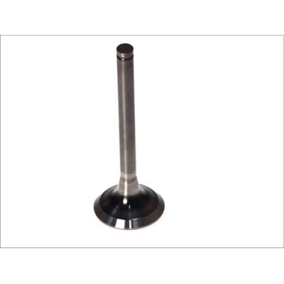 Vanne PARADOWSCY PMAN005 - Angle, Tige Chromée, Tête en Acier Vanne PARADOWSCY PMAN005 - Angle, Tige Chromée, Tête en Acier