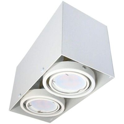 Lampe de Plafond Milagro - 2x7W GU10 LED Surface & Encastré - Publicité Lampe de Plafond Milagro - 2x7W GU10 LED Surface & Encastré - Publicité