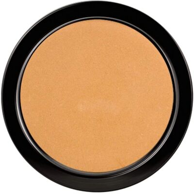 Paese Modell 2C Vollständiges Abdeckungs-Illuminating Puder Paese Modell 2C Vollständiges Abdeckungs-Illuminating Puder