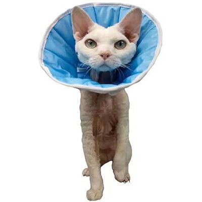 Collier de protection doux pour chien - Post Chirurgie - Collarette, 6(3xl), 50-60cm - Publicité Collier de protection doux pour chien - Post Chirurgie - Collarette, 6(3xl), 50-60cm - Publicité