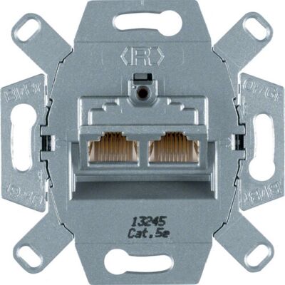 Hager Modell 534555 Wandplatte - Kategorie 5e Netzwerksockel Hager Modell 534555 Wandplatte - Kategorie 5e Netzwerksockel