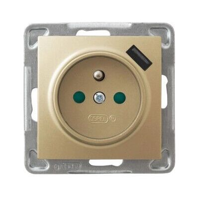 Ospel GP-1YZPUSB/m/28 - Enchufe con tierra y USB Ospel GP-1YZPUSB/m/28 - Enchufe con tierra y USB