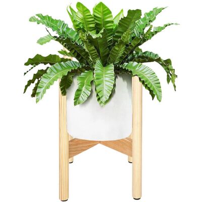 Supporto per piante in legno Springos - 35cm - Naturale - Stile Scandinavo Supporto per piante in legno Springos - 35cm - Naturale - Stile Scandinavo