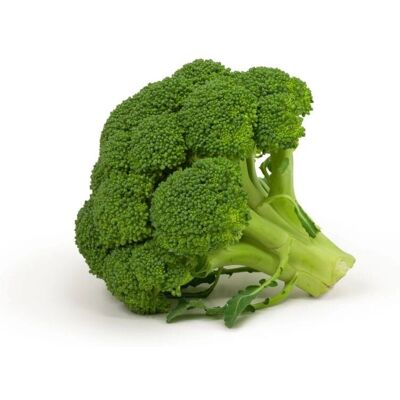 BIO PLANET Bio Brokkoli - 5 kg - Frisches Gemüse BIO PLANET Bio Brokkoli - 5 kg - Frisches Gemüse