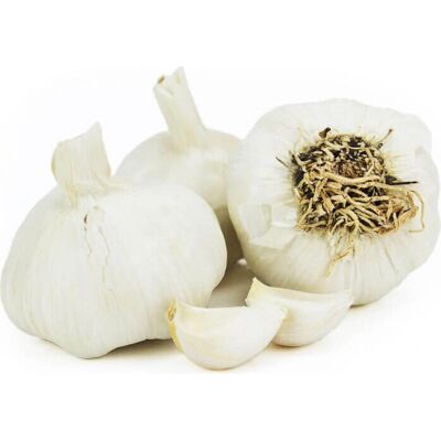 BIO Planet Frischer Knoblauch - 5kg Großpackung - Produkttyp BIO Planet Frischer Knoblauch - 5kg Großpackung - Produkttyp