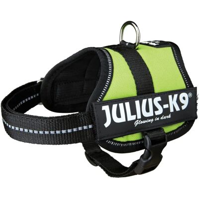 JULIUS K9 Arnés para Perros Verde - Arnés para Perros JULIUS K9 Arnés para Perros Verde - Arnés para Perros