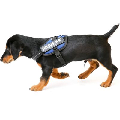 Julius-K9 IDC Powerharness Azul Baby 1 - Arnés Julius-K9 IDC Powerharness Azul Baby 1 - Arnés