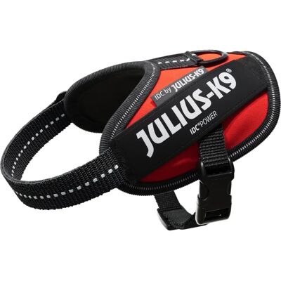 Julius-K9 IDC Powerharness Rot Baby 2 - Hundegeschirr Julius-K9 IDC Powerharness Rot Baby 2 - Hundegeschirr