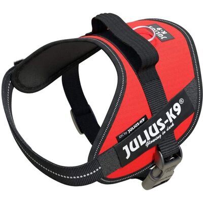 Imbracatura IDC Power Julius-K9 - Rosso - S - Mini Imbracatura IDC Power Julius-K9 - Rosso - S - Mini