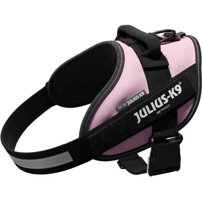 Julius-K9 Pink Dog Harness - Ergonomic Sporty Design Julius-K9 Pink Dog Harness - Ergonomic Sporty Design