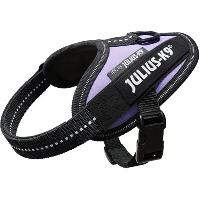 JULIUS K9 Baby 1 Viola Arnes ergonomico per cani JULIUS K9 Baby 1 Viola Arnes ergonomico per cani