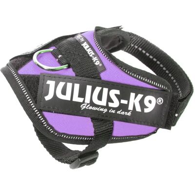 Imbracatura IDC Power Lilac Julius-K9 - Attrezzatura canina Imbracatura IDC Power Lilac Julius-K9 - Attrezzatura canina