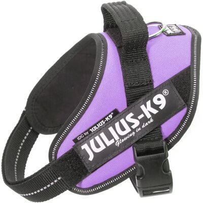 Imbracatura IDC Power Lilac Julius K9 - Collare per cani Imbracatura IDC Power Lilac Julius K9 - Collare per cani