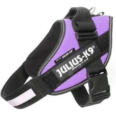 Julius-K9 IDC Power Lilac Harness - Dog Safety Gear Julius-K9 IDC Power Lilac Harness - Dog Safety Gear