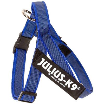 JULIUS-K9 IDC Imbracatura Nastro Blu - Imbracatura JULIUS-K9 IDC Imbracatura Nastro Blu - Imbracatura
