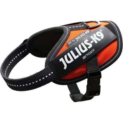 Julius-K9 IDC Power Geschirr Orange - Hund, Hohe Sichtbarkeit, Verstellbar Julius-K9 IDC Power Geschirr Orange - Hund, Hohe Sichtbarkeit, Verstellbar