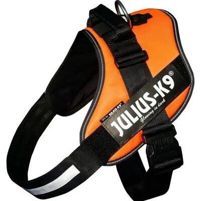 Julius-K9 IDC Power Geschirr Orange - Hundegeschirr & Leine Julius-K9 IDC Power Geschirr Orange - Hundegeschirr & Leine