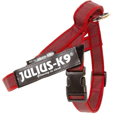 Collare per Cani Julius-K9 - Regolabile, Riflettente, Ergonomico - Rosso Collare per Cani Julius-K9 - Regolabile, Riflettente, Ergonomico - Rosso