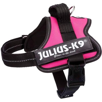 Arnés Mini Fucsia Julius-K9 - Arnés para perros Arnés Mini Fucsia Julius-K9 - Arnés para perros