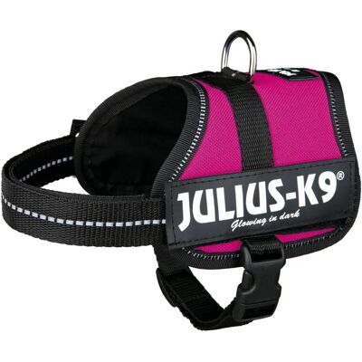 Julius K9 Power Fuchsia Hundegeschirr - Geschirr Julius K9 Power Fuchsia Hundegeschirr - Geschirr