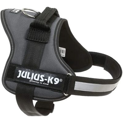 Harnais Power Julius-K9 - Anthracite - Taille 0 - Harnais Harnais Power Julius-K9 - Anthracite - Taille 0 - Harnais