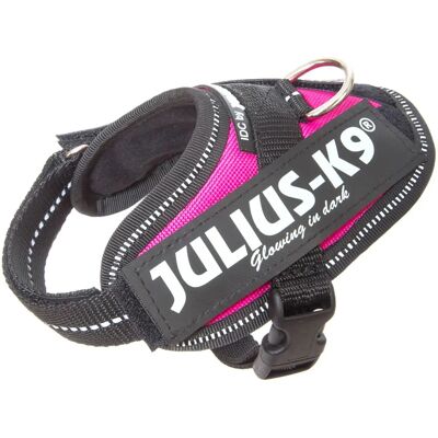 Julius-K9 IDC Power Harness - Adjustable, Reflective, Fuchsia Julius-K9 IDC Power Harness - Adjustable, Reflective, Fuchsia