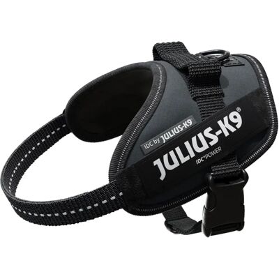Imbracatura Julius-K9 IDC Power - Imbracatura per cani Imbracatura Julius-K9 IDC Power - Imbracatura per cani