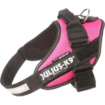 Julius-K9 IDC Powerharness Pink - Harness Julius-K9 IDC Powerharness Pink - Harness