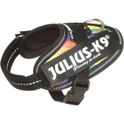JULIUS-K9 IDC Power Harness Rainbow - Dog Harness JULIUS-K9 IDC Power Harness Rainbow - Dog Harness