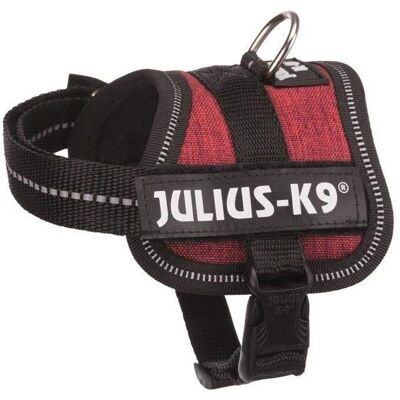 Trixie Power Harness Julius-K9 Baby XS - 30-40cm, 18mm, Vinröd, Harness Trixie Power Harness Julius-K9 Baby XS - 30-40cm, 18mm, Vinröd, Harness