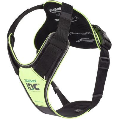 Julius K9 Idc Longwalk Neon Arnés - Correa para perros Julius K9 Idc Longwalk Neon Arnés - Correa para perros