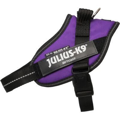 Julius-K9 Adjustable Harness - Small, Blue, Personalizable - Harness Julius-K9 Adjustable Harness - Small, Blue, Personalizable - Harness