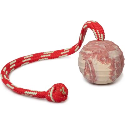Balle solide Julius-K9 pour chiens Balle solide Julius-K9 pour chiens