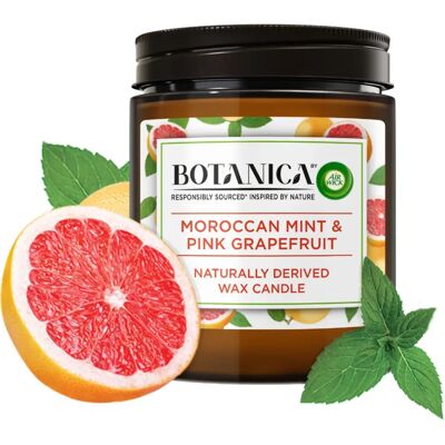 Air Wick - Botanica Mint & Pink Grapefruit - 205 g - svíčka Air Wick - Botanica Mint & Pink Grapefruit - 205 g - svíčka