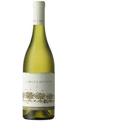 Waterkloof Estate Weiße 2023 - Nachhaltiger Wein Stellenbosch Waterkloof Estate Weiße 2023 - Nachhaltiger Wein Stellenbosch