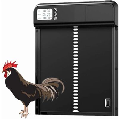 KZQ - Puerta automática de gallinero 3.0 - Metal - temporizador KZQ - Puerta automática de gallinero 3.0 - Metal - temporizador