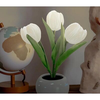 KCVV - Tulpen Keramikvasenlampe KCVV - Tulpen Keramikvasenlampe
