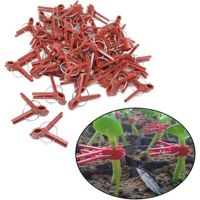 SNQ - Grafting Clip - Plastic - 100 pcs SNQ - Grafting Clip - Plastic - 100 pcs