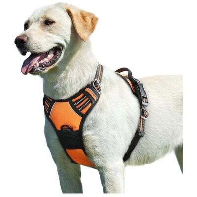 SNQ - Arancione - Orange - Size L - Dog Harness SNQ - Arancione - Orange - Size L - Dog Harness