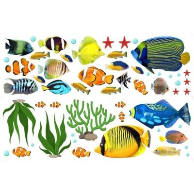 SNQ - TropicalFishSet - Tropical Fish - Wall Decals SNQ - TropicalFishSet - Tropical Fish - Wall Decals