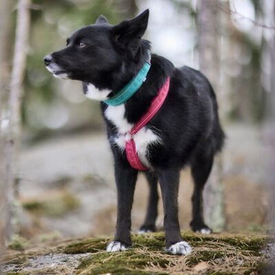 Hurtta Ruby Eco Hundharnas - Ergonomisk & Vattentät Hurtta Ruby Eco Hundharnas - Ergonomisk & Vattentät
