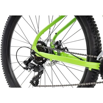 Axess SANDEE 2023 matt grün 21 Zoll Hardtail-Mountainbike Axess SANDEE 2023 matt grün 21 Zoll Hardtail-Mountainbike