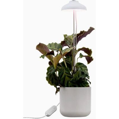 Airam Iris - Pflanzenlampe - Verstellbar 10-60cm - Innen, 5W, 240 lm - Weiß Airam Iris - Pflanzenlampe - Verstellbar 10-60cm - Innen, 5W, 240 lm - Weiß