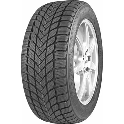 Pneumatico invernale Mastersteel - 195/55R15 85H Pneumatico invernale Mastersteel - 195/55R15 85H