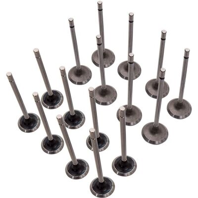 BFO Maxpeedingrods - Juego de Válvulas para Renault Clio, Megane, Laguna - 16V BFO Maxpeedingrods - Juego de Válvulas para Renault Clio, Megane, Laguna - 16V