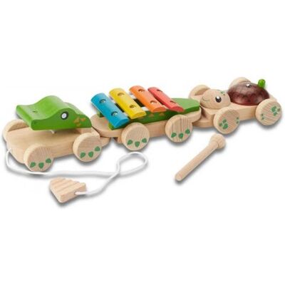 EverEarth Bunt Musikzug - Zieh- und Schiebespielzeug EverEarth Bunt Musikzug - Zieh- und Schiebespielzeug