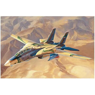 Maquette Hobby Boss F-14A Tomcat IRIAF 1:48 - Avion Maquette Hobby Boss F-14A Tomcat IRIAF 1:48 - Avion