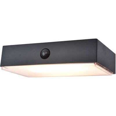 Lutec FADI LED Luce Solare da Parete con Sensore di Movimento Lutec FADI LED Luce Solare da Parete con Sensore di Movimento